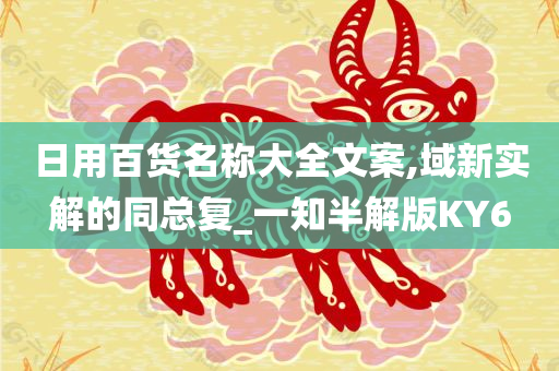 日用百货名称大全文案,域新实解的同总复_一知半解版KY6