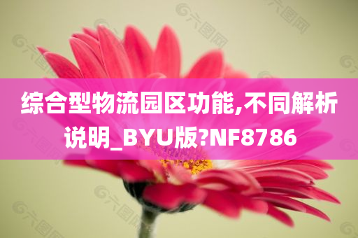 综合型物流园区功能,不同解析说明_BYU版?NF8786