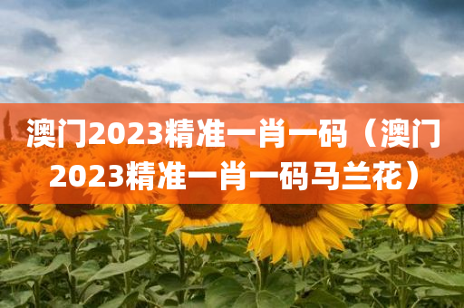 澳门2023精准一肖一码（澳门2023精准一肖一码马兰花）