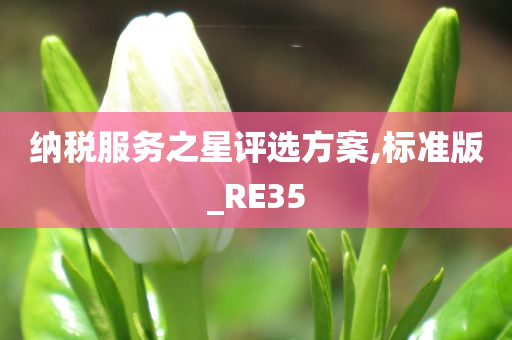 纳税服务之星评选方案,标准版_RE35