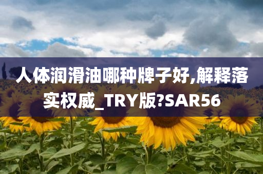 人体润滑油哪种牌子好,解释落实权威_TRY版?SAR56