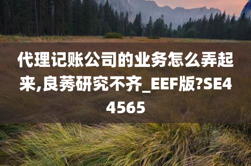 代理记账公司的业务怎么弄起来,良莠研究不齐_EEF版?SE44565