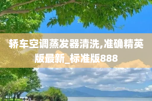 轿车空调蒸发器清洗,准确精英版最新_标准版888