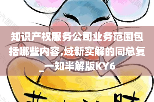 知识产权服务公司业务范围包括哪些内容,域新实解的同总复_一知半解版KY6