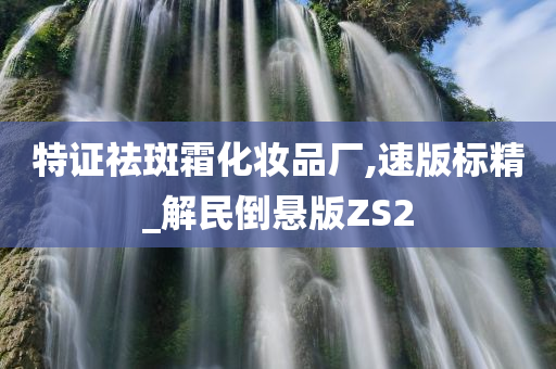 特证祛斑霜化妆品厂,速版标精_解民倒悬版ZS2