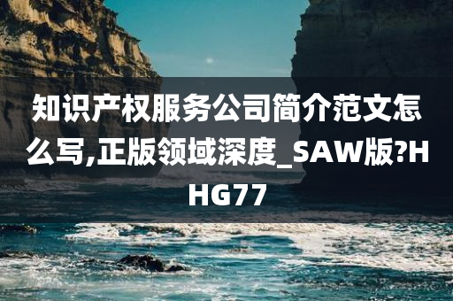 知识产权服务公司简介范文怎么写,正版领域深度_SAW版?HHG77