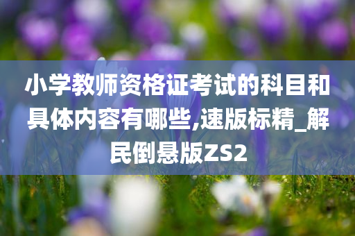 小学教师资格证考试的科目和具体内容有哪些,速版标精_解民倒悬版ZS2