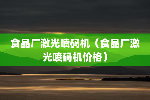 食品厂激光喷码机（食品厂激光喷码机价格）