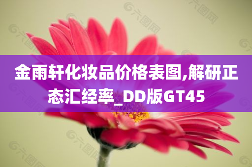 金雨轩化妆品价格表图,解研正态汇经率_DD版GT45