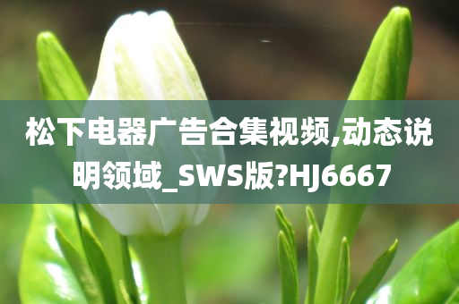 松下电器广告合集视频,动态说明领域_SWS版?HJ6667