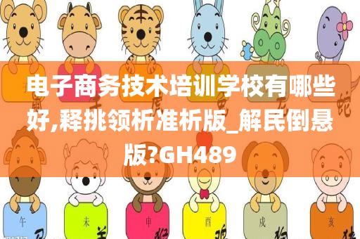 电子商务技术培训学校有哪些好,释挑领析准析版_解民倒悬版?GH489