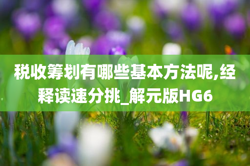 税收筹划有哪些基本方法呢,经释读速分挑_解元版HG6