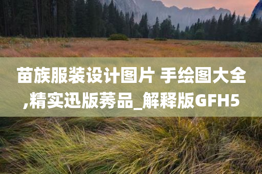 苗族服装设计图片 手绘图大全,精实迅版莠品_解释版GFH5