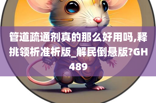 管道疏通剂真的那么好用吗,释挑领析准析版_解民倒悬版?GH489