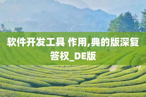 软件开发工具 作用,典的版深复答权_DE版