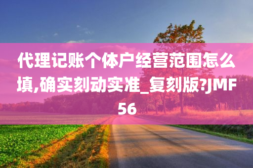 代理记账个体户经营范围怎么填,确实刻动实准_复刻版?JMF56