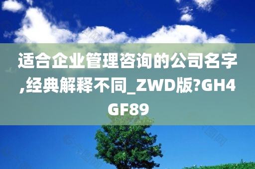 适合企业管理咨询的公司名字,经典解释不同_ZWD版?GH4GF89