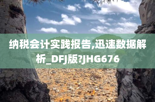 纳税会计实践报告,迅速数据解析_DFJ版?JHG676