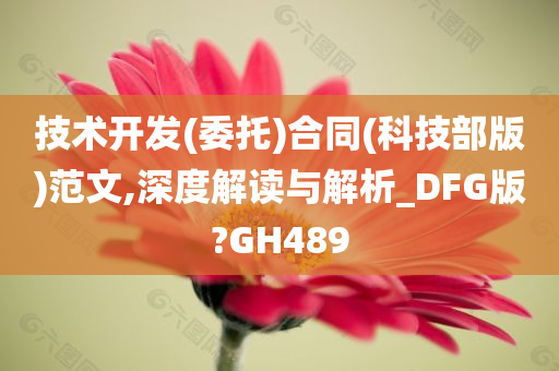 技术开发(委托)合同(科技部版)范文,深度解读与解析_DFG版?GH489