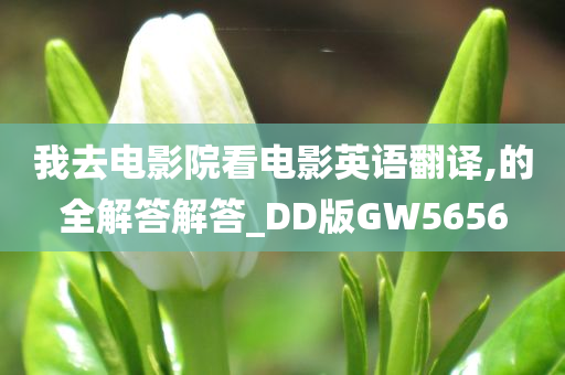 我去电影院看电影英语翻译,的全解答解答_DD版GW5656