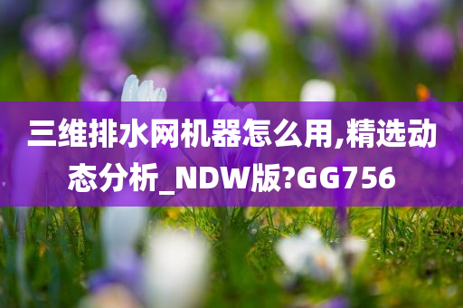 三维排水网机器怎么用,精选动态分析_NDW版?GG756