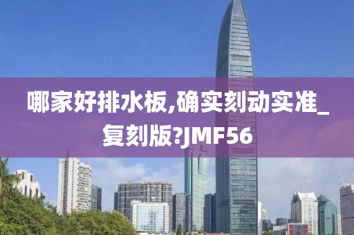 哪家好排水板,确实刻动实准_复刻版?JMF56