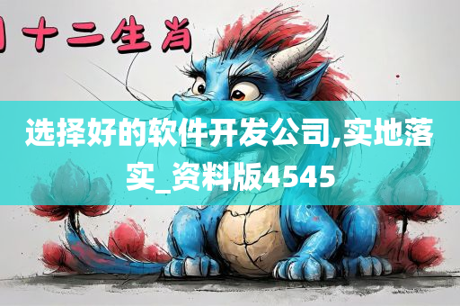 选择好的软件开发公司,实地落实_资料版4545