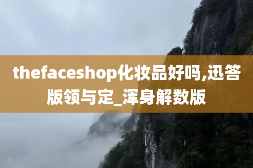 thefaceshop化妆品好吗,迅答版领与定_浑身解数版