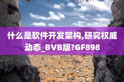 什么是软件开发架构,研究权威动态_BVB版?GF898