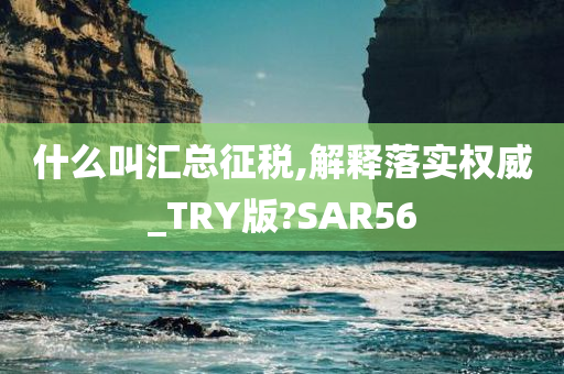 什么叫汇总征税,解释落实权威_TRY版?SAR56