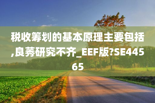 税收筹划的基本原理主要包括,良莠研究不齐_EEF版?SE44565