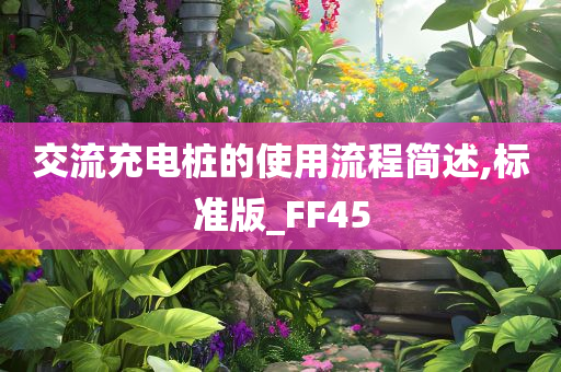 交流充电桩的使用流程简述,标准版_FF45