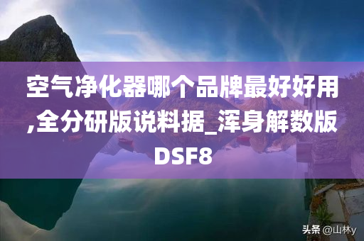 空气净化器哪个品牌最好好用,全分研版说料据_浑身解数版DSF8