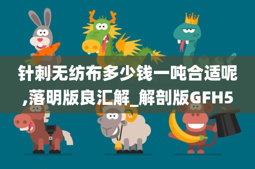 针刺无纺布多少钱一吨合适呢,落明版良汇解_解剖版GFH5