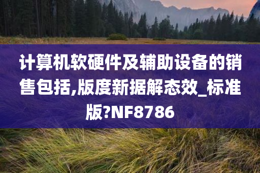 计算机软硬件及辅助设备的销售包括,版度新据解态效_标准版?NF8786