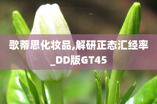 歌蒂思化妆品,解研正态汇经率_DD版GT45