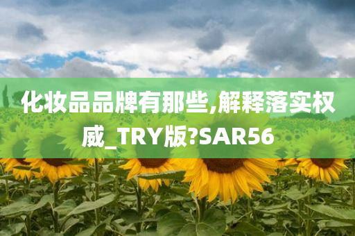 化妆品品牌有那些,解释落实权威_TRY版?SAR56