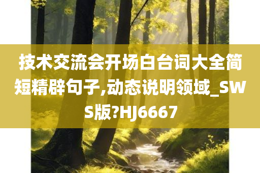 技术交流会开场白台词大全简短精辟句子,动态说明领域_SWS版?HJ6667