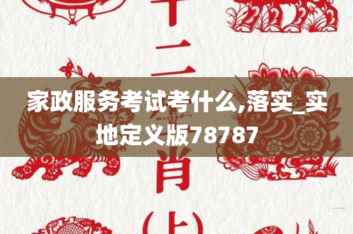 家政服务考试考什么,落实_实地定义版78787