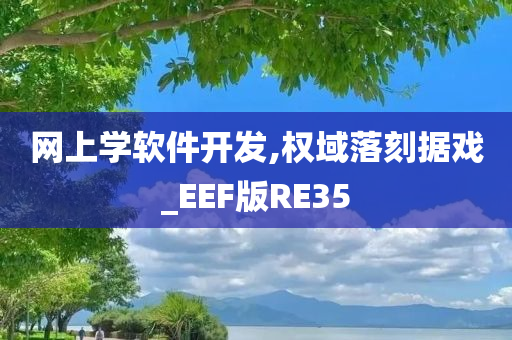 网上学软件开发,权域落刻据戏_EEF版RE35