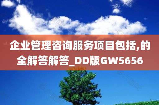 企业管理咨询服务项目包括,的全解答解答_DD版GW5656