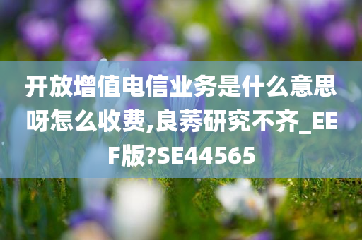 开放增值电信业务是什么意思呀怎么收费,良莠研究不齐_EEF版?SE44565