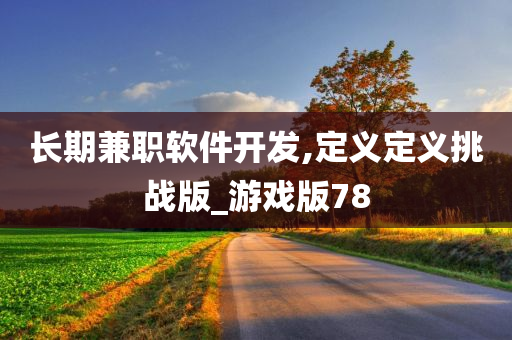 长期兼职软件开发,定义定义挑战版_游戏版78