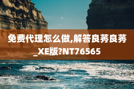 免费代理怎么做,解答良莠良莠_XE版?NT76565