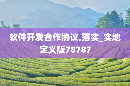 软件开发合作协议,落实_实地定义版78787