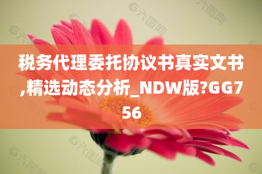 税务代理委托协议书真实文书,精选动态分析_NDW版?GG756