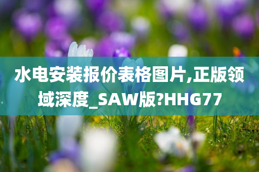 水电安装报价表格图片,正版领域深度_SAW版?HHG77