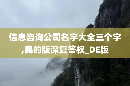 信息咨询公司名字大全三个字,典的版深复答权_DE版