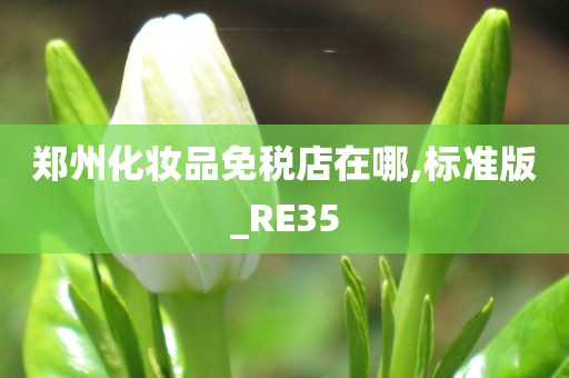 郑州化妆品免税店在哪,标准版_RE35