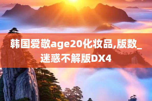 韩国爱敬age20化妆品,版数_迷惑不解版DX4